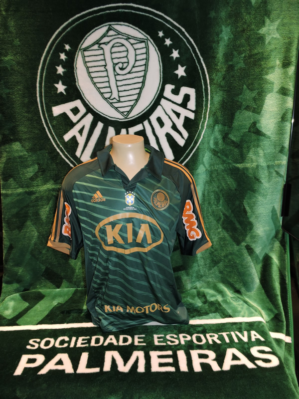 Camisa