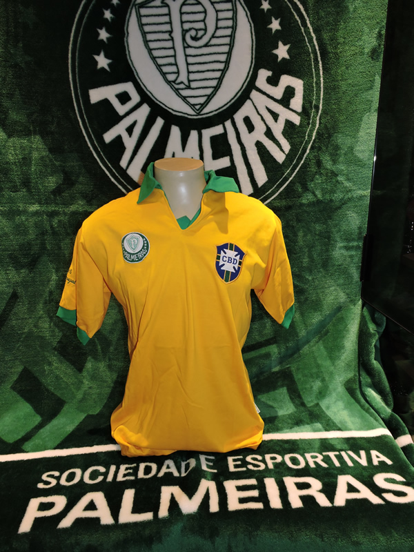 Camisa