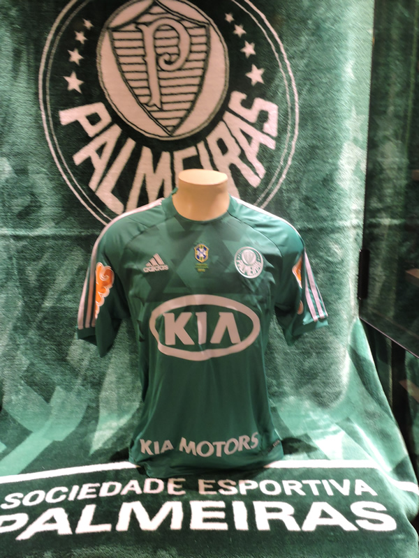 Camisa